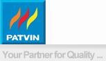 PATVIN logo, shown from the supplied SVS customer slide